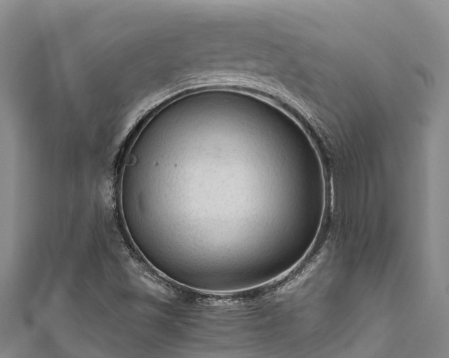 X0000111601501200907231224