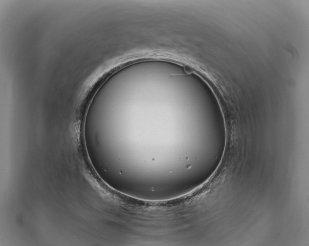 X0000111601503200907231224
