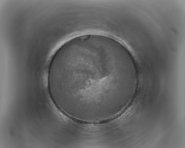 X0000111601504200907231224
