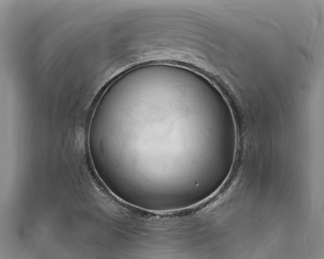 X0000111601505200907231224