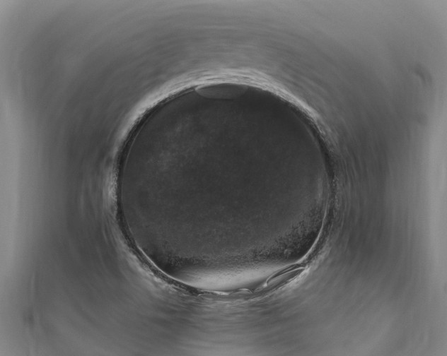 X0000111601506200907231224