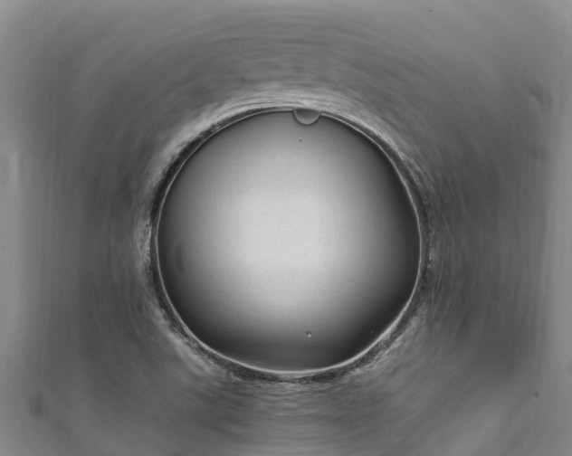 X0000111601507200907231224