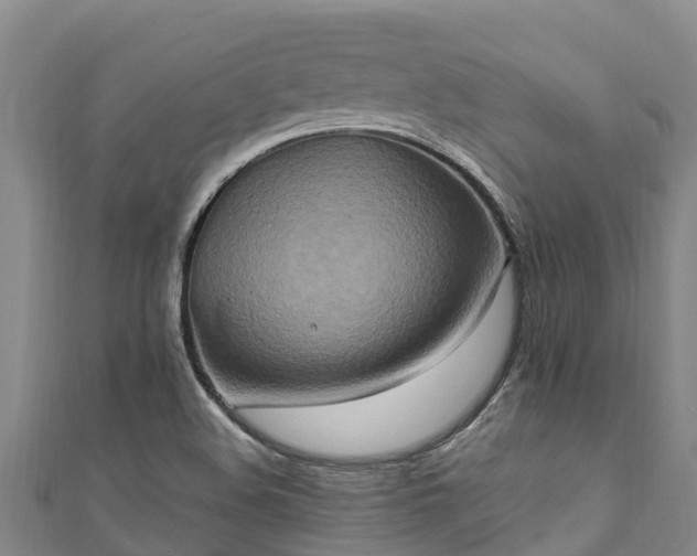 X0000111601508200907231224
