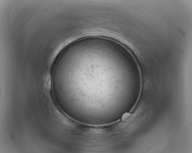 X0000111601509200907231224