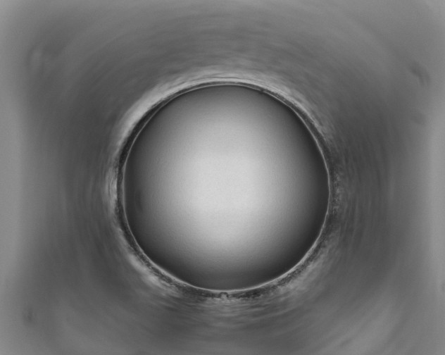 X0000111601511200907231224
