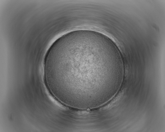 X0000111601515200907231224