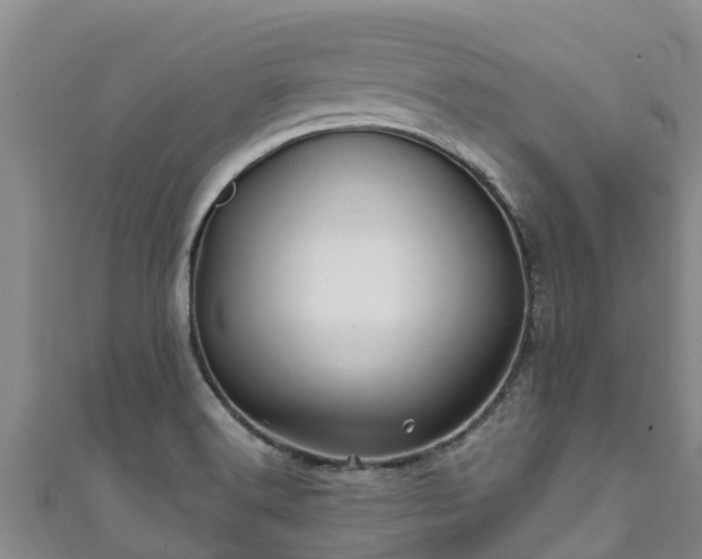 X0000111601516200907231224