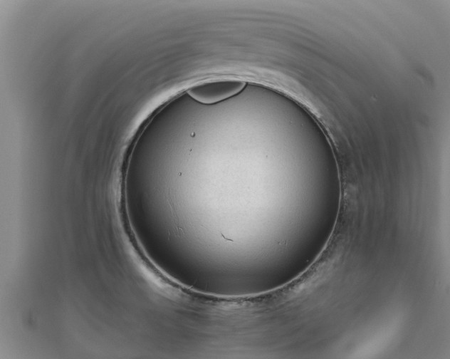 X0000111601523200907231224