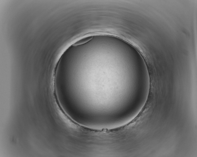 X0000111601524200907231224