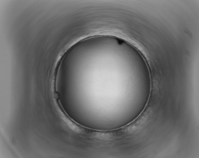 X0000111601525200907231225