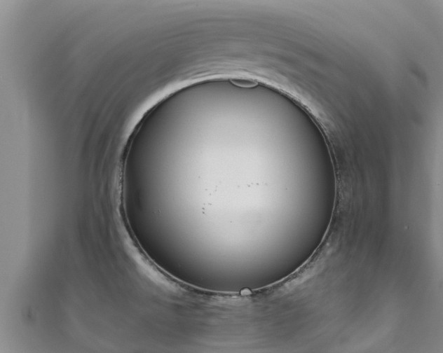 X0000111601526200907231225