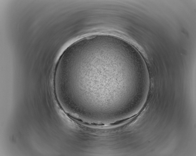 X0000111601530200907231225