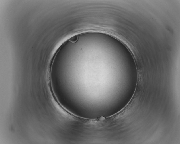 X0000111601531200907231225