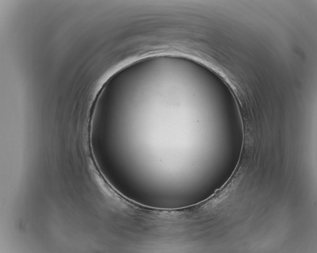 X0000111601534200907231225