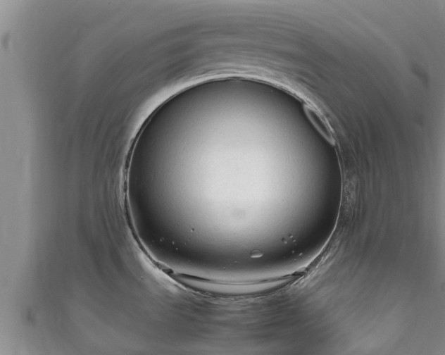 X0000111601535200907231225