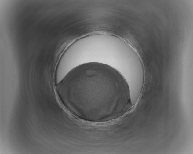 X0000111600001200907301456