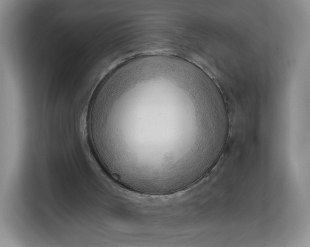 X0000111600002200907301456