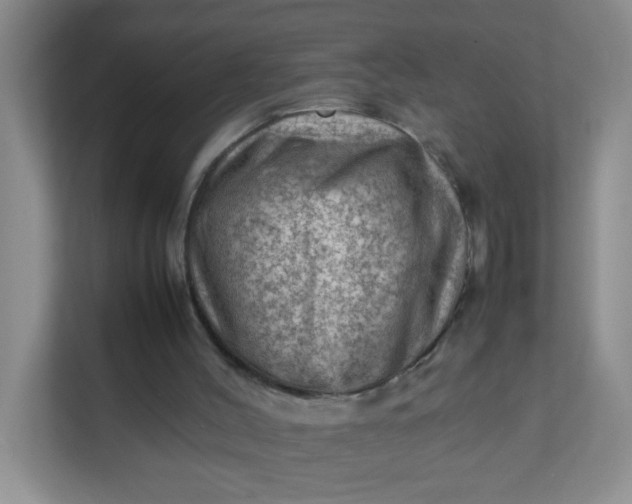 X0000111600004200907301456