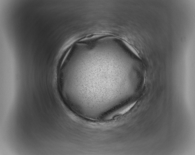 X0000111600005200907301456