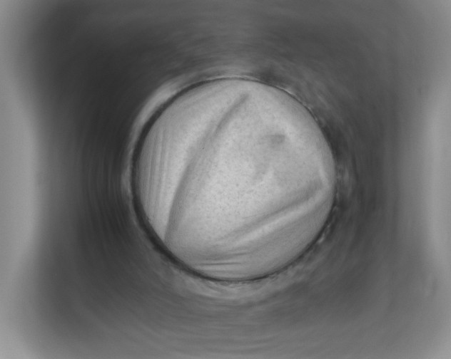 X0000111600006200907301456