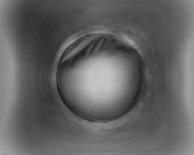 X0000111600007200907301456