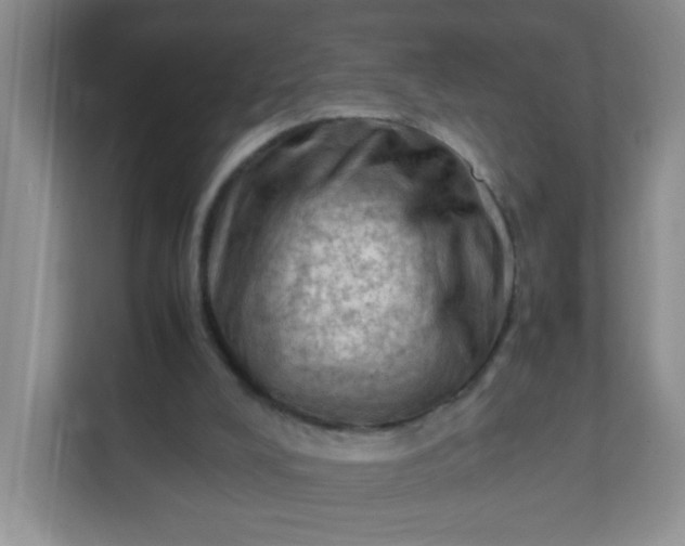 X0000111600008200907301456