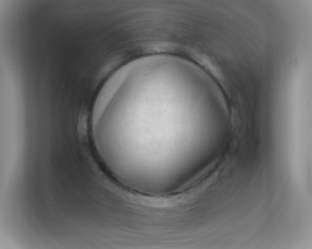 X0000111600010200907301456