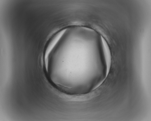 X0000111600011200907301456