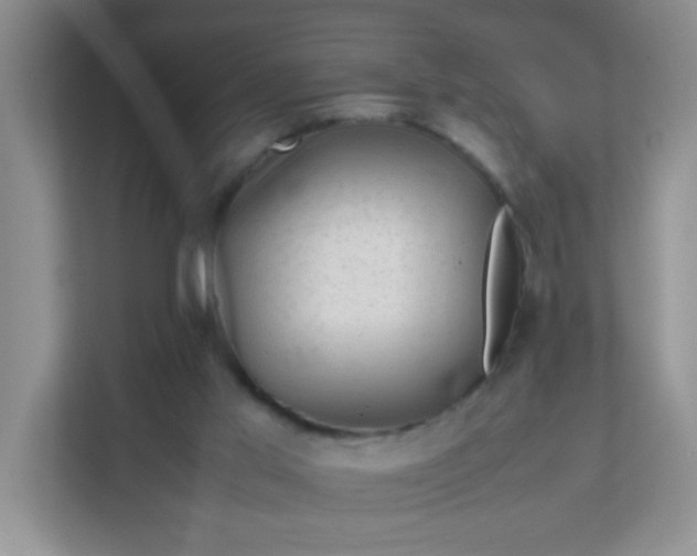 X0000111600013200907301456