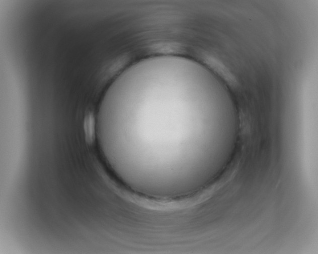 X0000111600014200907301456