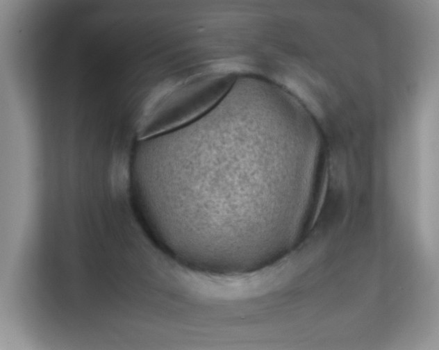 X0000111600015200907301456