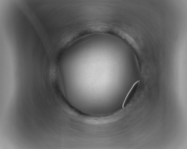 X0000111600017200907301456