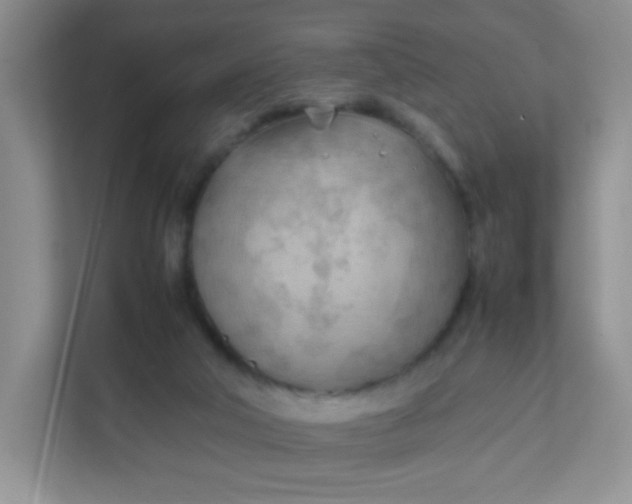X0000111600018200907301456