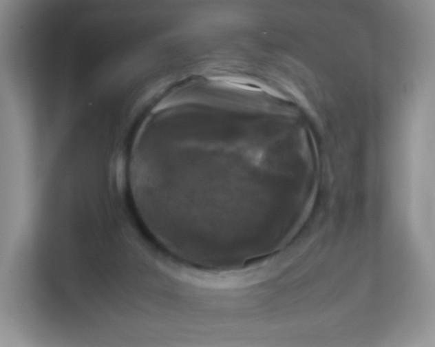 X0000111600019200907301456