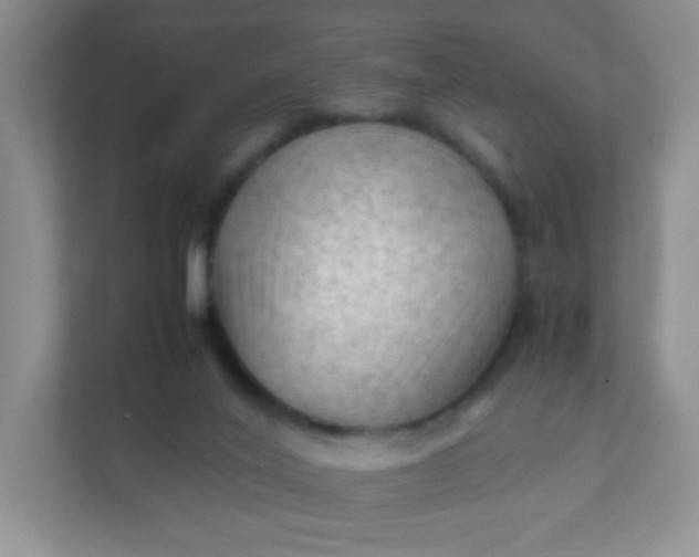 X0000111600020200907301456