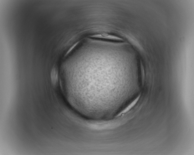 X0000111600021200907301456