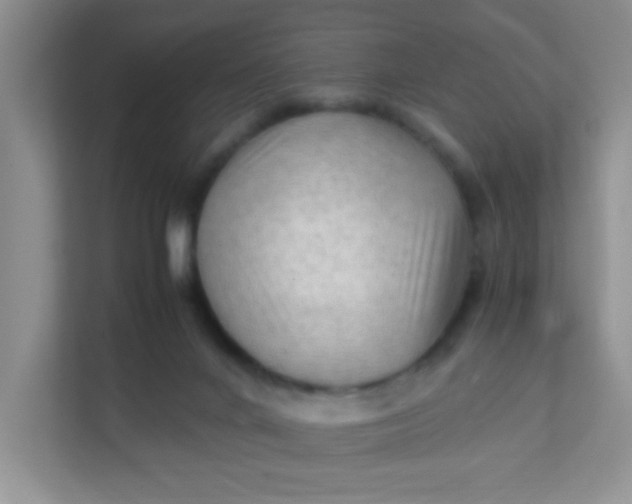 X0000111600024200907301456
