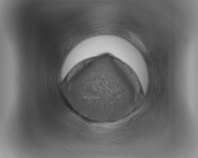 X0000111600025200907301456