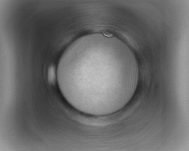 X0000111600028200907301455