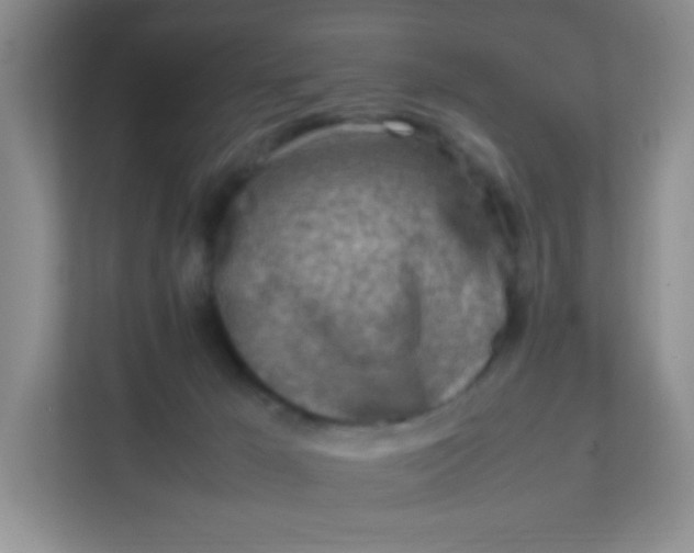 X0000111600029200907301455