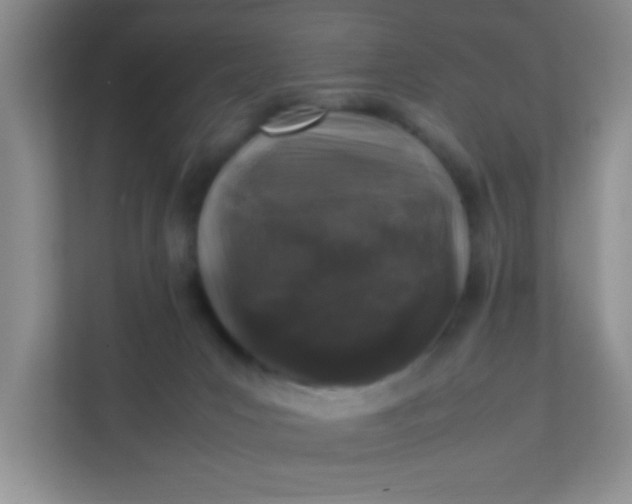 X0000111600031200907301455