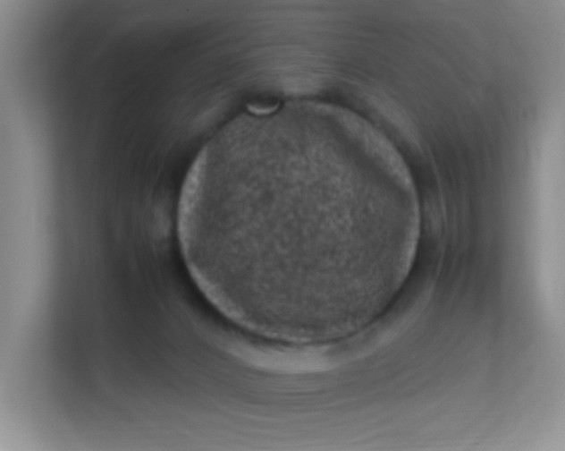 X0000111600032200907301455