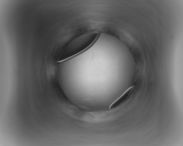 X0000111600033200907301455