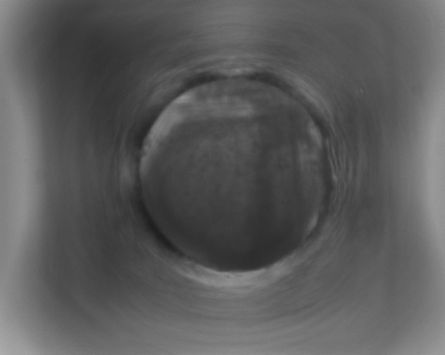 X0000111600035200907301455