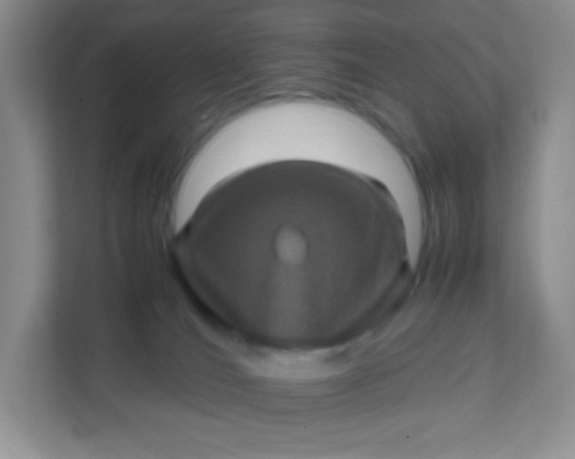 X0000111600036200907301455