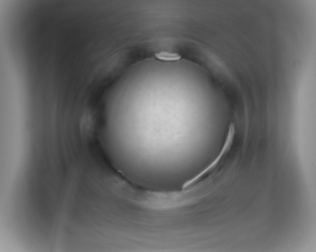 X0000111600037200907301455