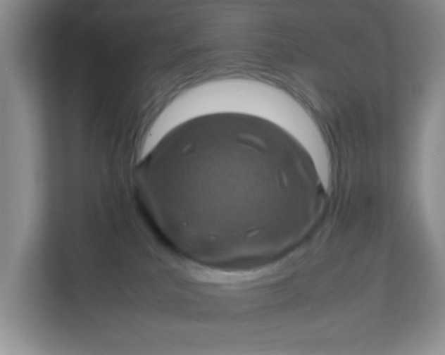 X0000111600039200907301455