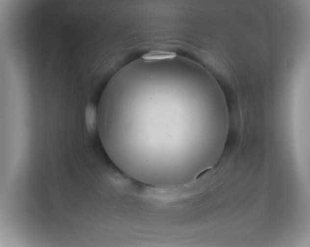 X0000111600041200907301455