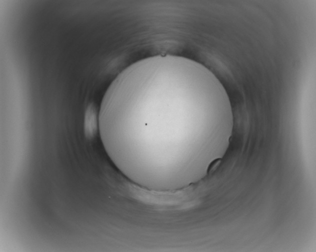 X0000111600042200907301455