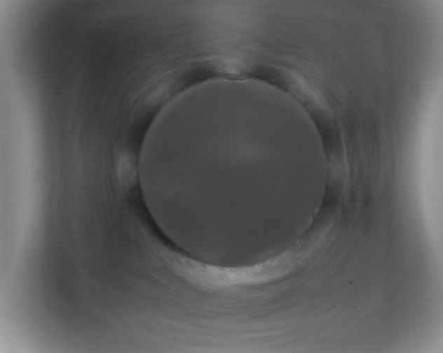 X0000111600043200907301455
